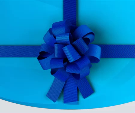 anv_holiday-season-video-v5-376px_a100139