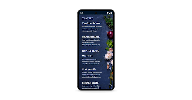 Circle to Search Translator